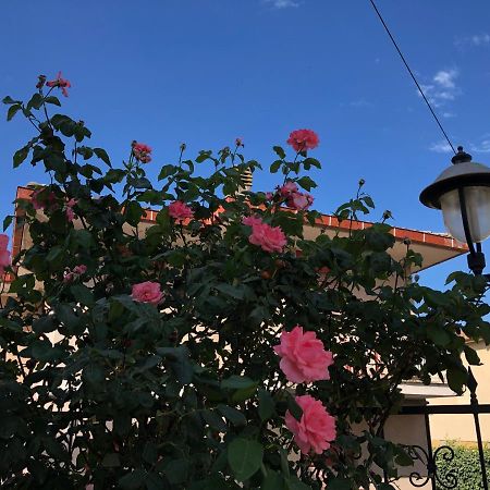 Hotel Zodiaco Bolsena Exterior photo